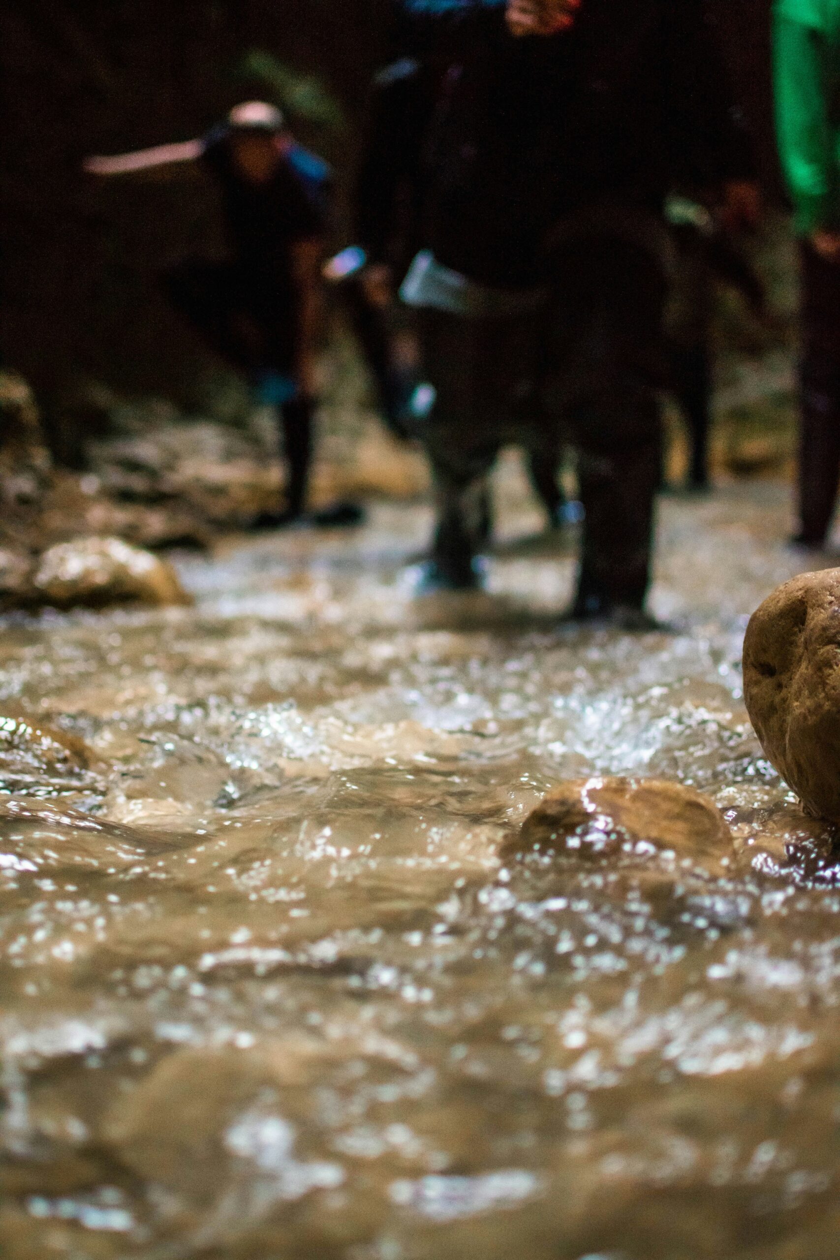 Formation ambassadeur